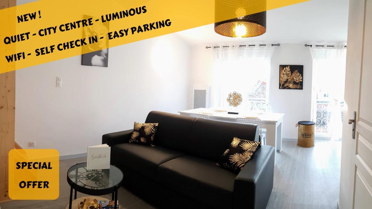 Les Nuits D'Anis - Appartements Hypercentre Le Puy-en-Velay Esterno foto