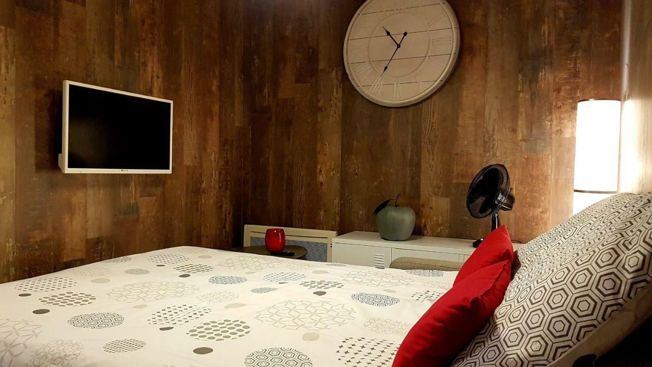 Les Nuits D'Anis - Appartements Hypercentre Le Puy-en-Velay Esterno foto
