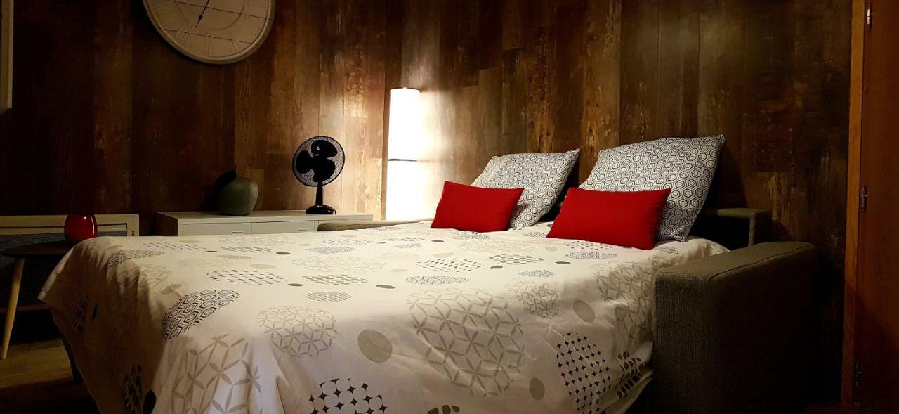 Les Nuits D'Anis - Appartements Hypercentre Le Puy-en-Velay Esterno foto